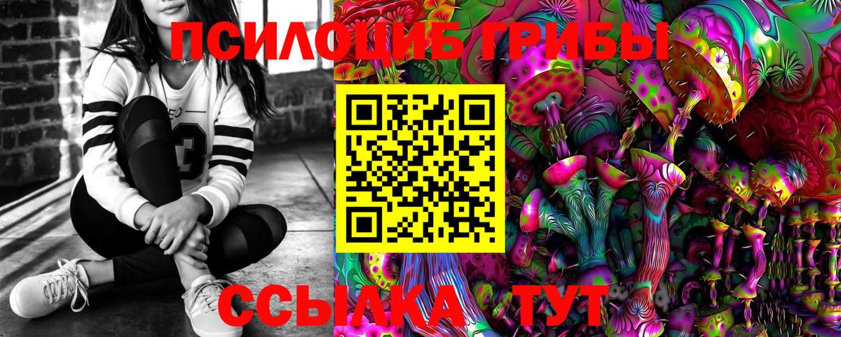 закладки  Псилоцибиновые грибы мицелий  Вход с VPN  Касимов 